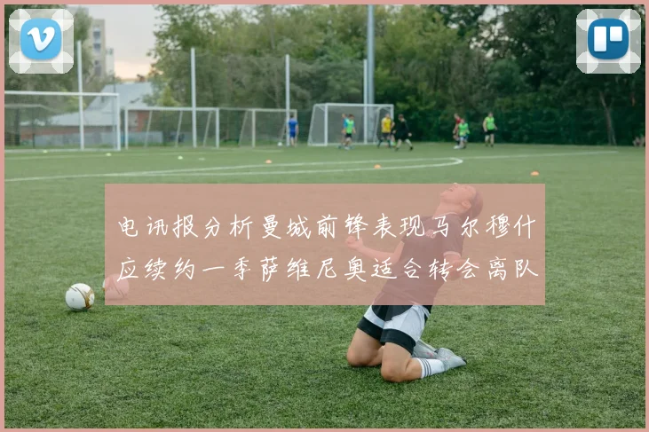 电讯报分析曼城前锋表现马尔穆什应续约一季萨维尼奥适合转会离队
