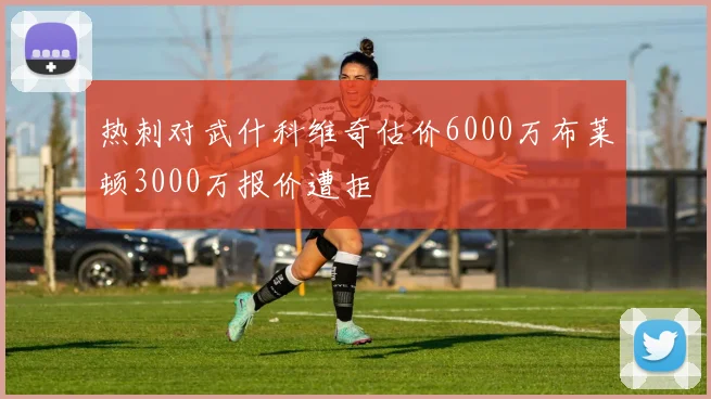 热刺对武什科维奇估价6000万布莱顿3000万报价遭拒