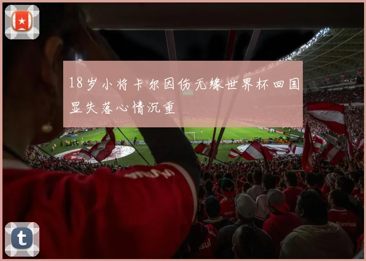 18岁小将卡尔因伤无缘世界杯回国显失落心情沉重