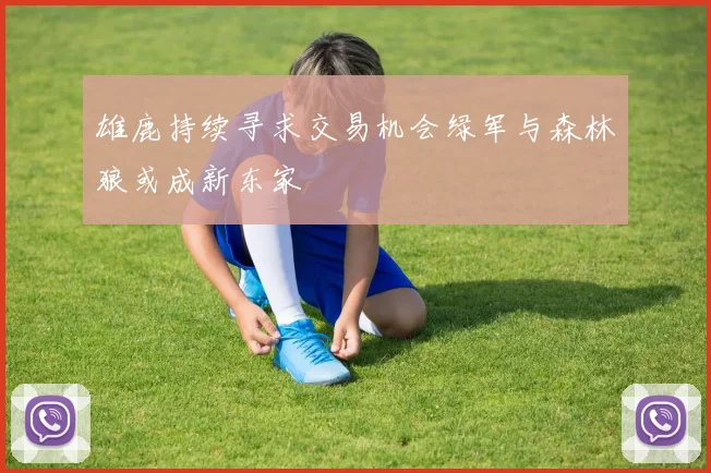 雄鹿持续寻求交易机会绿军与森林狼或成新东家